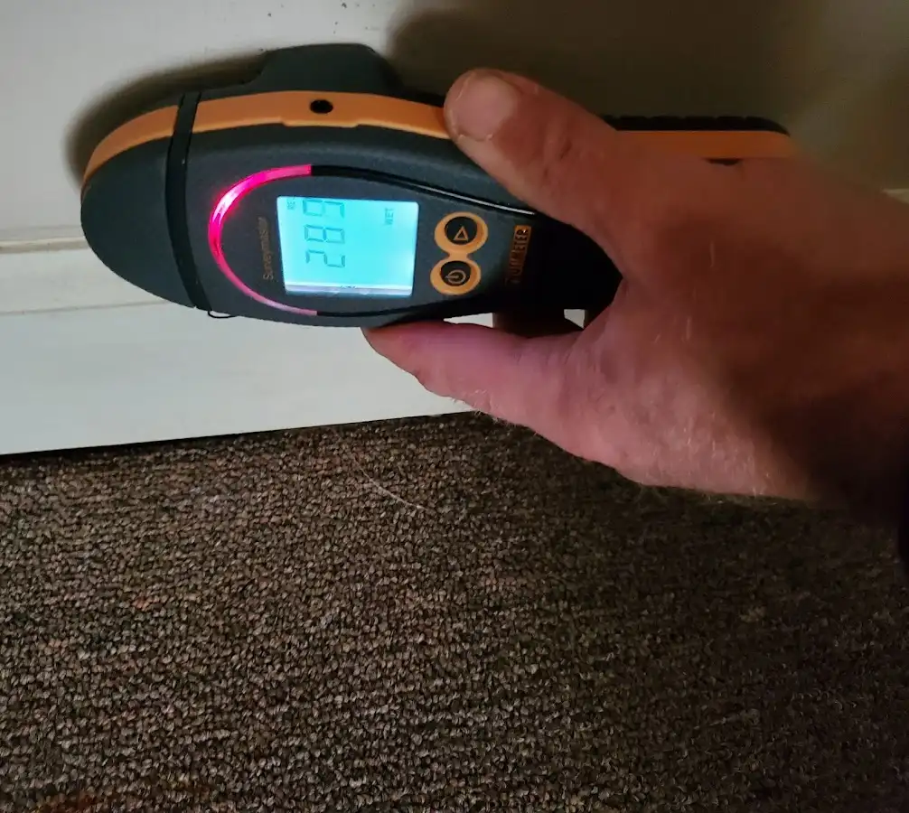 Moisture detection at baseboard during Sewage Cleanup & Sanitation in Clyde